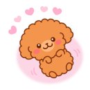 뽀송 펫 살롱 이미지