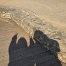 종로-신영-종로-영-192 | 둥근 해가 떴습니다