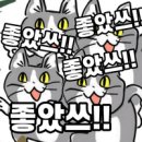 칵칵 네이버블로그