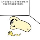 집돌이 집순이 특징 이미지