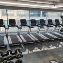 윌 휘트니스 이미지