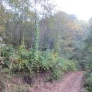 인제04-2 이미지