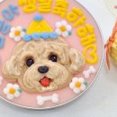 멍멍과자점 이미지