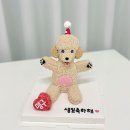 테이스팅독 | 동탄강아지케이크 [테이스팅독] 귀염뽀짝 애견케이크🐶