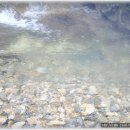 푸른계곡 이미지