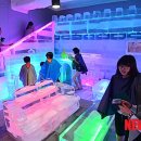 아이스뮤지엄 이미지