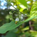 상갈초등학교(병설) 이미지