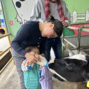 새론목장 이미지