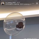 럽마이데이즈