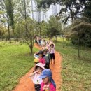 자연아이숲유치원 이미지