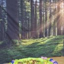 아이신나어린이집 이미지