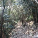 보길면-3 이미지