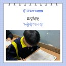 (주)교일