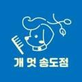개멋 애견미용 이미지
