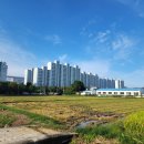 학사부동산정보공인중개사사무소 이미지