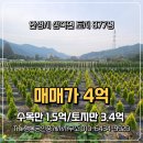 수목공인중개사사무소 이미지