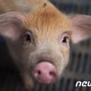 우후농장 이미지