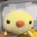 천지문구 이미지