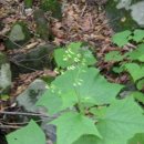 여로민박 이미지