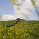 신흥목장2 이미지