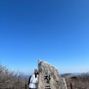 경성알씨 이미지