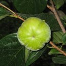 유빈농장 이미지