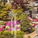 은평노인종합복지관 이미지