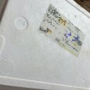 구룡포고고수산 | 기다리던 겨울철별미 햇과메기 [동명수산 과메기] 포항 구룡포 덕장 직거래로 윤기 빛깔 넘사벽...