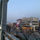 두산메디펫동물병원 네이버블로그