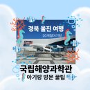 소리가 그린 그림(Fun&Fun 과학관) | 경북 울진 국립해양과학관 20개월 아기랑 방문 꿀팁 (주차/예약/준비물)