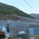 고성부동산중개사무소 이미지