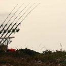 탄금호의 아침 이미지