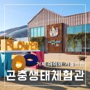 생태세상 | 거제 아이와 가볼만한 곤충생태체험관 다녀온 후기