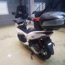 차더쿠디테일링 이미지