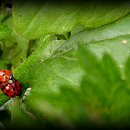 흙사랑농장 이미지
