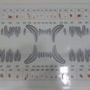 중동우리아이동물병원 이미지