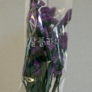 프리저브드 플라워 | 팔팔 플라워 프리저브드 꽃다발 주문 후기