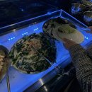 제이에스 뷔페 이미지