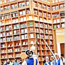 스타필드 수원 이미지