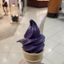 업타운주짓수