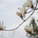 소탐농장 네이버블로그