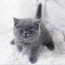 테마3빌딩 이미지