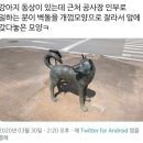 강아지사랑 이미지