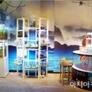 장흥정남진 이미지