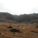 고성리-14 네이버블로그