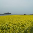 바닷가우리집 이미지