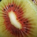 한양농원 이미지