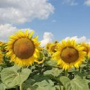 윤정 농장 이미지