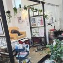 홀리네일 다녀온 후기! 일산 네일샵 중에서도 눈에 띄는 그곳