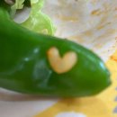 플레이방방 이미지